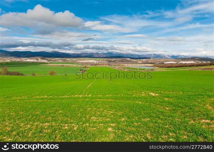 Spanish Spring Fields on the Background of Snowy Peaks of the Pyrenees