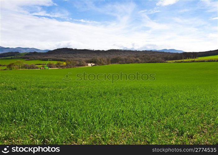 Spanish Spring Fields on the Background of Snowy Peaks of the Pyrenees