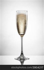 Sparkling champagne in glass isolated on white background