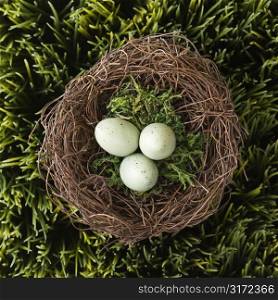 Speckled eggs in nest on grass.