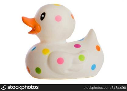 Speckled plastic duck a over white background