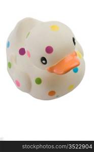 Speckled plastic duck a over white background