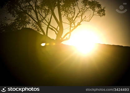 Spectacular sunset flares across a dark landscape