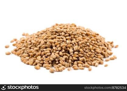 Spelt grain dinkel wheat isolated on white background