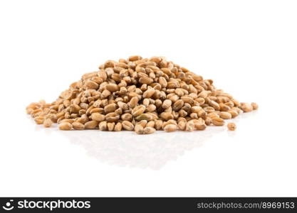 Spelt grain dinkel wheat isolated on white background