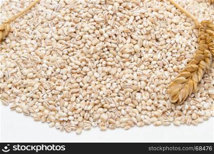 Spelt heap and ear isolated on white background