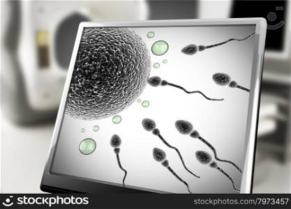 sperm and egg cell on monitor in laboratory