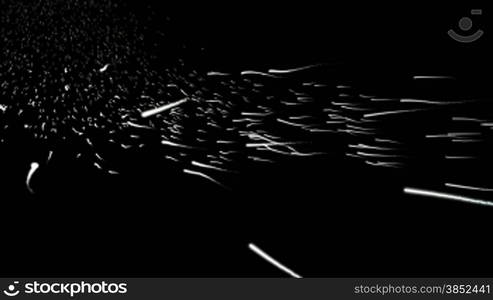 Sperm cells swimming