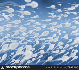 spermatozoons