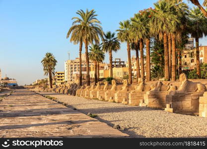 Sphinx Alley by the Luxor Temple main entrance, Egypt.