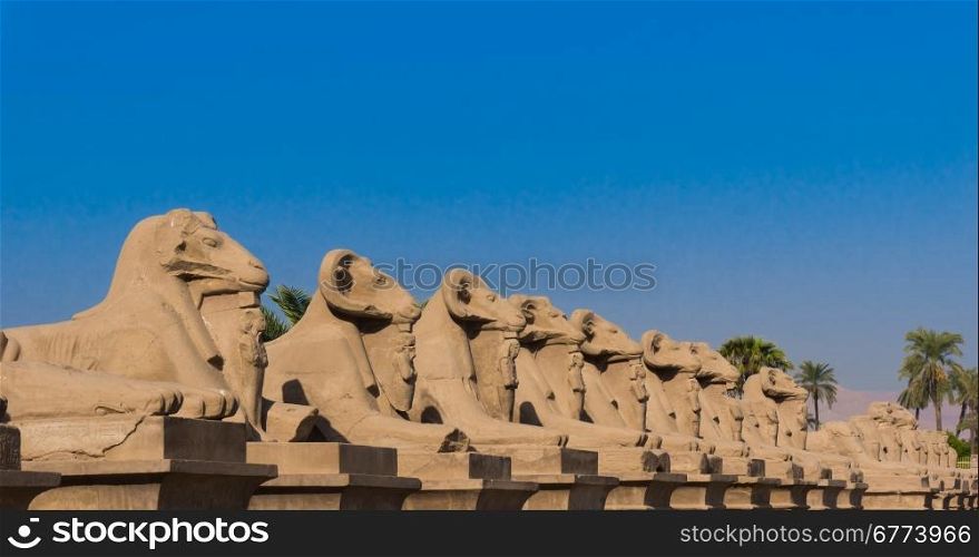 Sphinx Avenue in Luxor. Amun Temple of Luxor. Egypt
