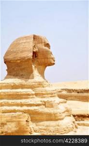 Sphinx in Cairo Egypt