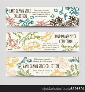 Spice and herbs vintage banners template. Spice and herbs banners template. Vector vintage banners with hand drawn spice