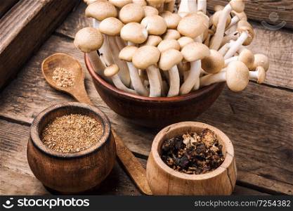 Spice for a dish of forest mushrooms. Mushroom seasoning. Fragrant mushroom seasoning