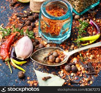 spices and herbs for cooking. Large set of spices and condiments for cooking.Food and cuisine ingredients