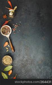 Spices and vintage pepper grinder on dark background, flat lay, space for text. Spices and vintage pepper grinder on dark background