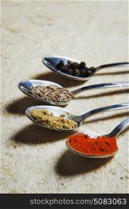 Spices on spoons