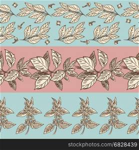 Spices seamless pattern collection. Hand drawn spices seamless pattern collection, vector illustration