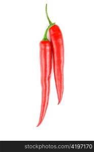 spicy red chilli peppers on white background