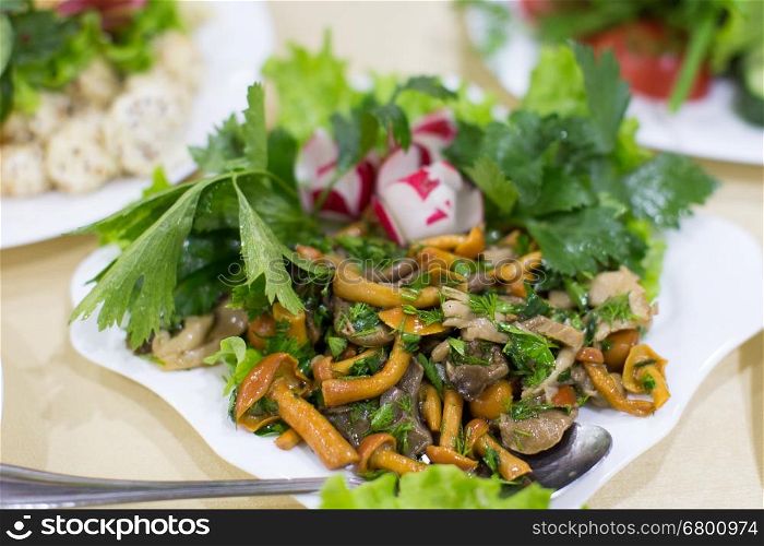 Spicy salad with mushrooms and vegetables. Vegan dish. Restaurant food