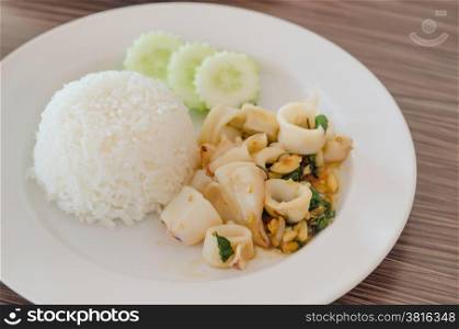 spicy squid with rice. fried basil leaf with squid served with steamed rice