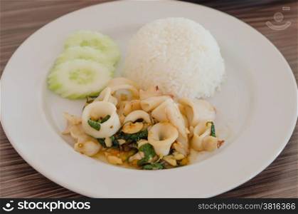 spicy squid with rice. fried basil leaf with squid served with steamed rice