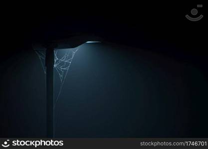 Spider in the mist                               