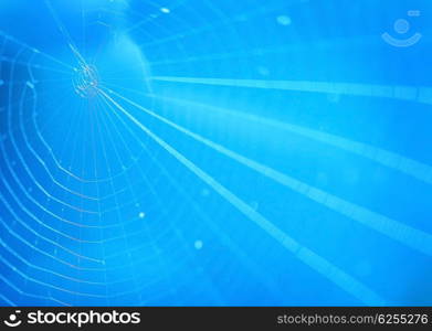 Spiderweb, blue cobweb background pattern, selective focus, extreme closeup on nature