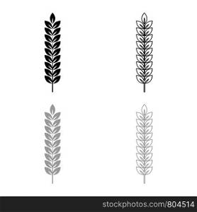 Spikelet of wheat Plant branch icon outline set black grey color vector illustration flat style simple image
