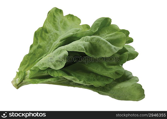 Spinach