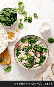 Spinach and cottage cheese fresh green vegetable salad with radish, cucumber and yogurt, healthy diet food, top view