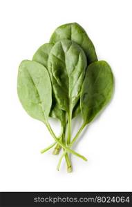 spinach. Fresh spinach isolated on white background