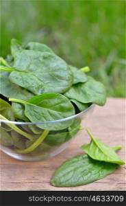 Spinach in a glass bowl on the wooden table