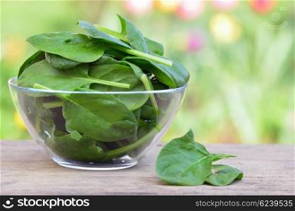 Spinach in a glass bowl on the wooden table