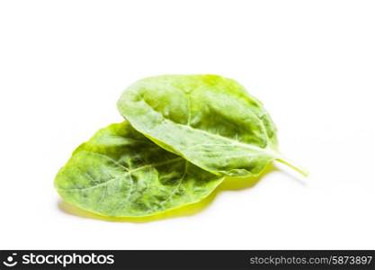 Spinach leaves isolated on a white background