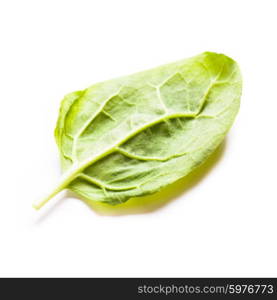 Spinach leaves isolated on a white background. Spinach leaves isolated