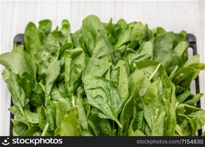 Spinach leaves on a wooden white table. Nutritious and healthy vegetable greens.. Spinach leaves on a wooden white table.