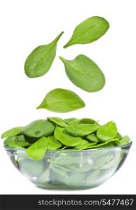 spinach leaves on white background