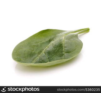 Spinach vegetables isolated on white background cutout