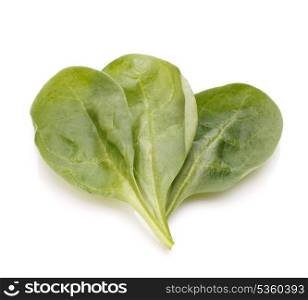 Spinach vegetables isolated on white background cutout