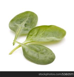 Spinach vegetables isolated on white background cutout