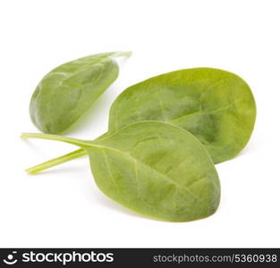 Spinach vegetables isolated on white background cutout