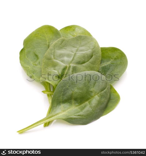 Spinach vegetables isolated on white background cutout