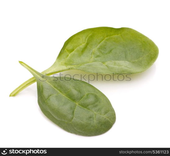 Spinach vegetables isolated on white background cutout