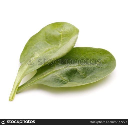 Spinach vegetables isolated on white background cutout