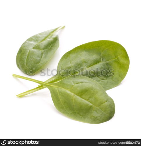 Spinach vegetables isolated on white background cutout