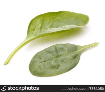 Spinach vegetables isolated on white background cutout