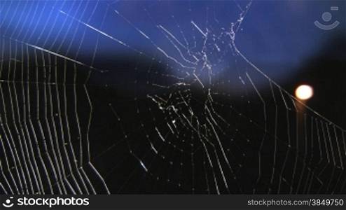 Spinnennetz gegen Abendhimmel