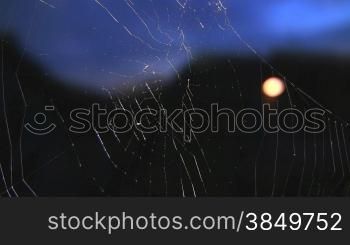 Spinnennetz gegen Abendhimmel