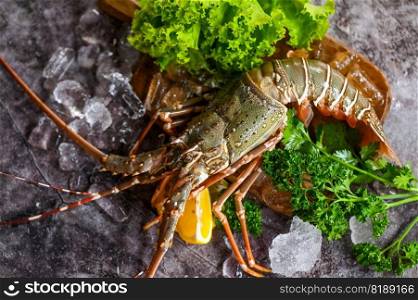 spiny lobster seafood on ice, fresh lobster or rock lobster with herb and spices lemon parsley on dark background, raw spiny lobster for cooking food or seafood market - top view 